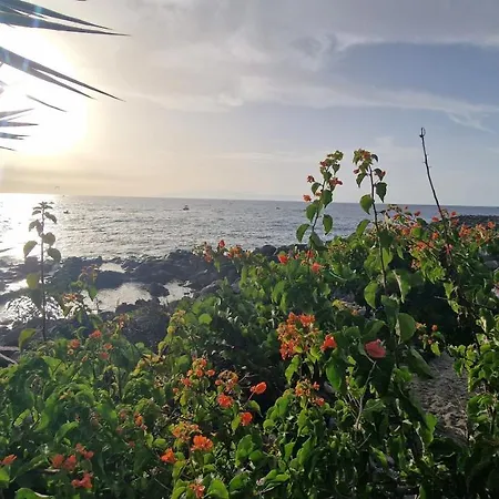 Lägenhetshotell Ocean View Apartment, Costa Adeje,tenerife Costa Adeje (Tenerife)